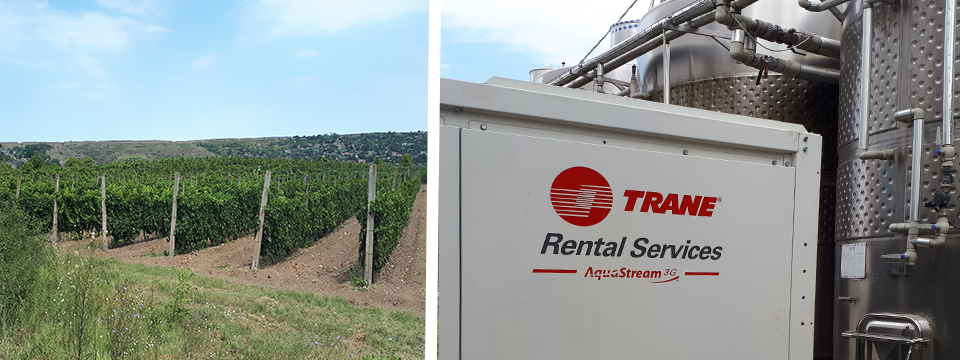 chiller rental services