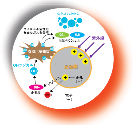 pco_mechanism.png